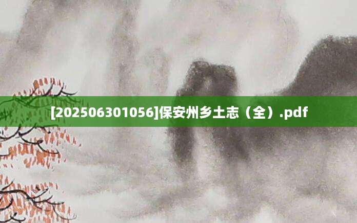 [202506301056]保安州乡土志（全）.pdf