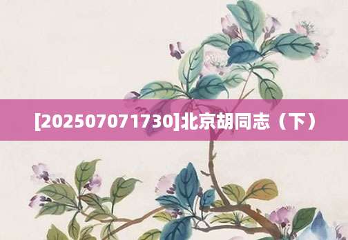 [202507071730]北京胡同志（下）