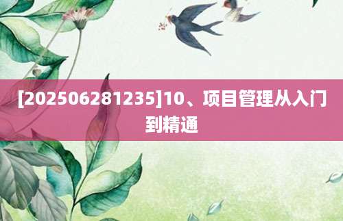 [202506281235]10、项目管理从入门到精通