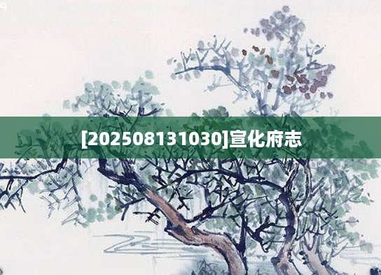 [202508131030]宣化府志