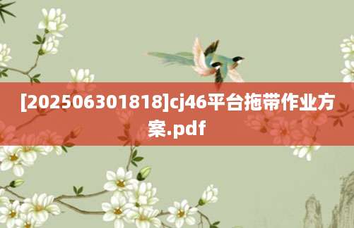 [202506301818]cj46平台拖带作业方案.pdf