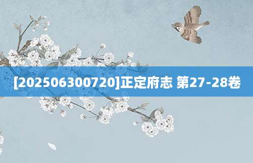 [202506300720]正定府志 第27-28卷