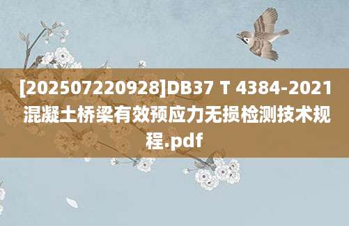 [202507220928]DB37 T 4384-2021 混凝土桥梁有效预应力无损检测技术规程.pdf