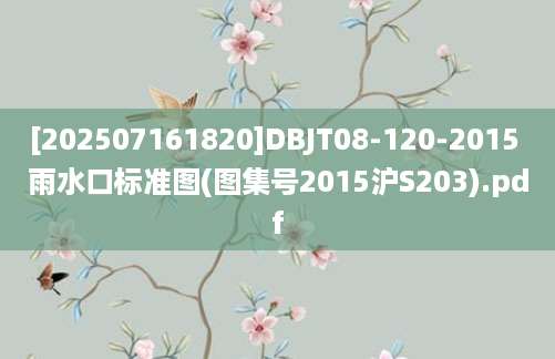 [202507161820]DBJT08-120-2015 雨水口标准图(图集号2015沪S203).pdf