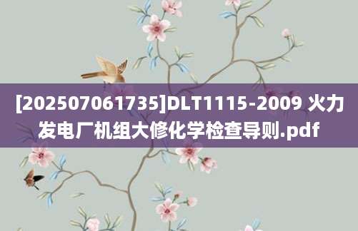 [202507061735]DLT1115-2009 火力发电厂机组大修化学检查导则.pdf