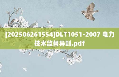 [202506261554]DLT1051-2007 电力技术监督导则.pdf
