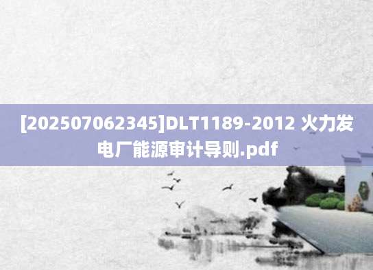 [202507062345]DLT1189-2012 火力发电厂能源审计导则.pdf