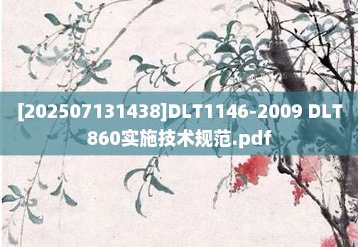 [202507131438]DLT1146-2009 DLT860实施技术规范.pdf