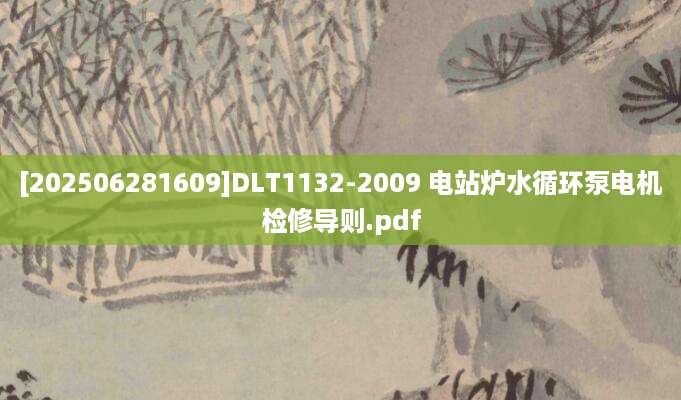 [202506281609]DLT1132-2009 电站炉水循环泵电机检修导则.pdf