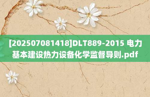 [202507081418]DLT889-2015 电力基本建设热力设备化学监督导则.pdf