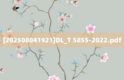 [202508041921]DL_T 5855-2022.pdf