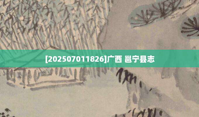 [202507011826]广西 邕宁县志