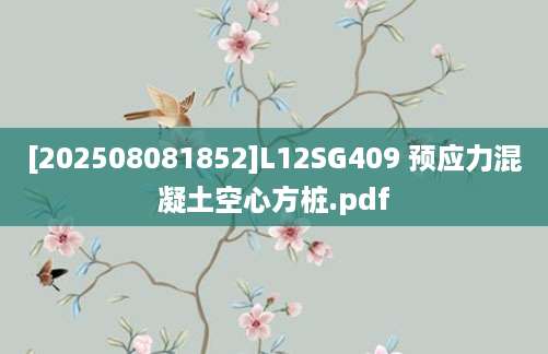 [202508081852]L12SG409 预应力混凝土空心方桩.pdf