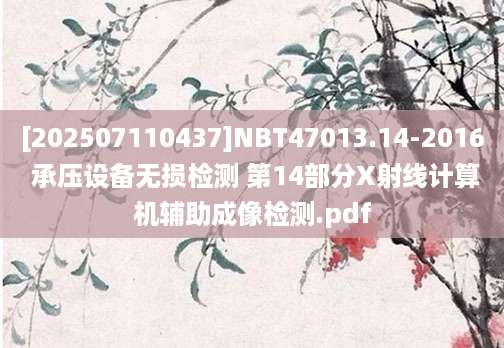 [202507110437]NBT47013.14-2016 承压设备无损检测 第14部分X射线计算机辅助成像检测.pdf