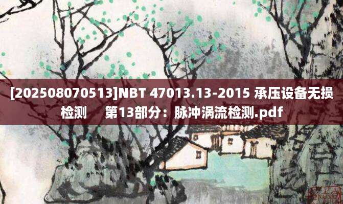 [202508070513]NBT 47013.13-2015 承压设备无损检测     第13部分：脉冲涡流检测.pdf