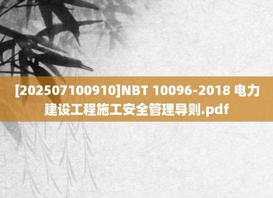 [202507100910]NBT 10096-2018 电力建设工程施工安全管理导则.pdf