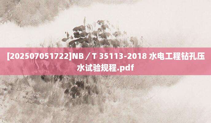 [202507051722]NB／T 35113-2018 水电工程钻孔压水试验规程.pdf