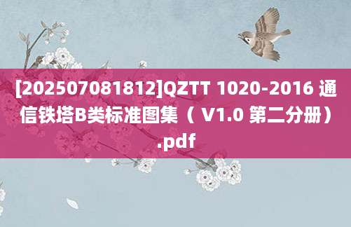 [202507081812]QZTT 1020-2016 通信铁塔B类标准图集（ V1.0 第二分册）.pdf