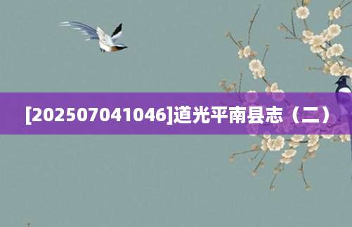 [202507041046]道光平南县志（二）