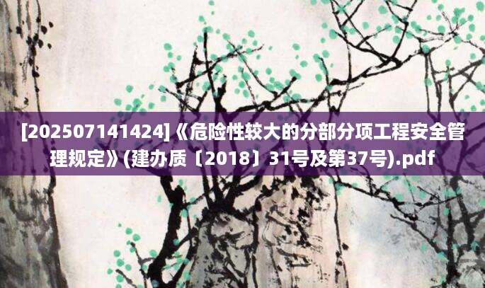 [202507141424]《危险性较大的分部分项工程安全管理规定》(建办质〔2018〕31号及第37号).pdf