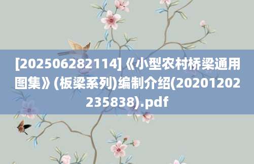 [202506282114]《小型农村桥梁通用图集》(板梁系列)编制介绍(20201202235838).pdf