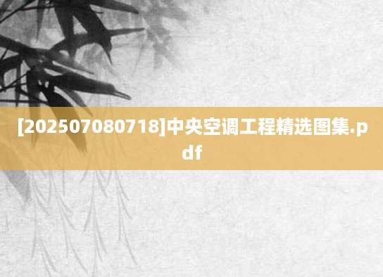 [202507080718]中央空调工程精选图集.pdf