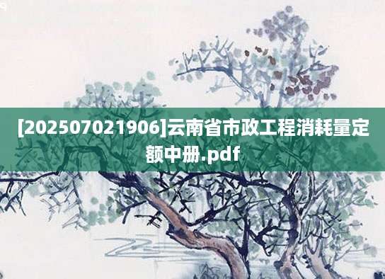 [202507021906]云南省市政工程消耗量定额中册.pdf