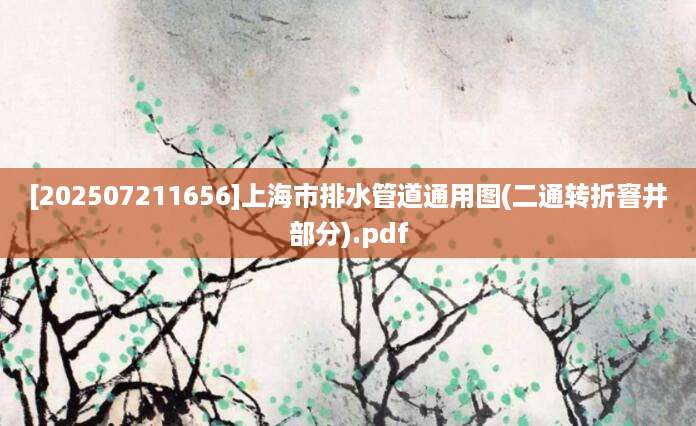 [202507211656]上海市排水管道通用图(二通转折窨井部分).pdf