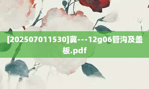 [202507011530]冀---12g06管沟及盖板.pdf