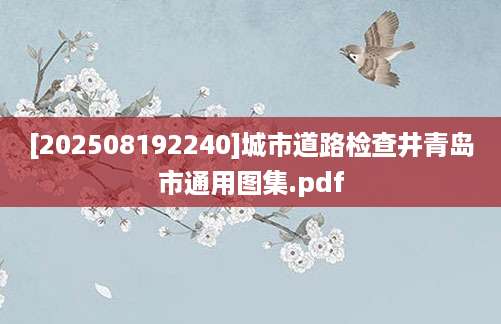 [202508192240]城市道路检查井青岛市通用图集.pdf