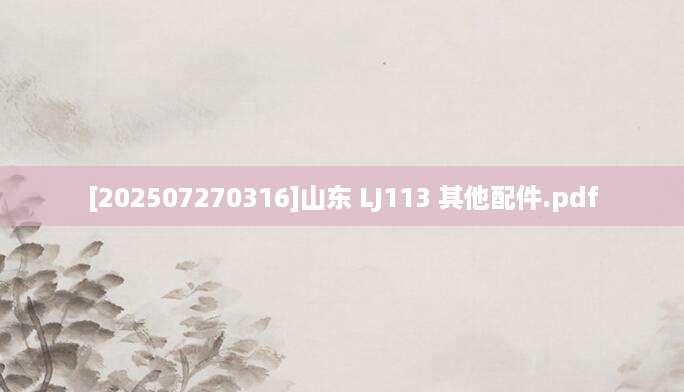 [202507270316]山东 LJ113 其他配件.pdf