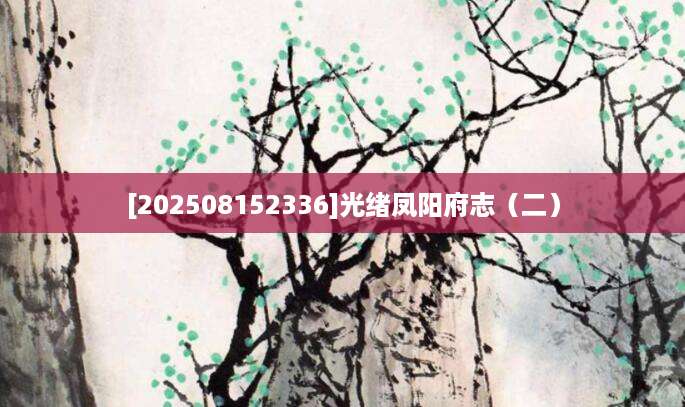 [202508152336]光绪凤阳府志（二）