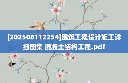 [202508112254]建筑工程设计施工详细图集 混凝土结构工程.pdf