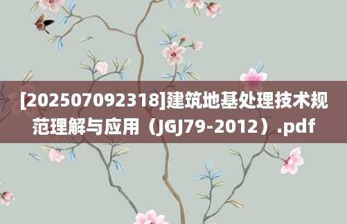 [202507092318]建筑地基处理技术规范理解与应用（JGJ79-2012）.pdf