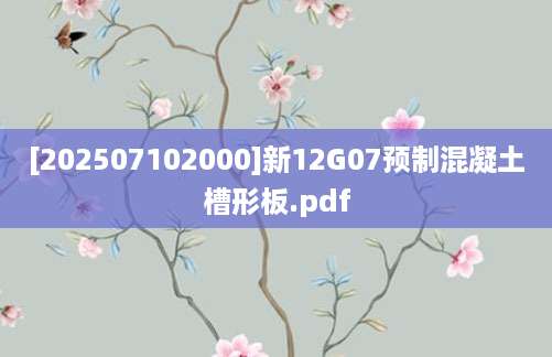 [202507102000]新12G07预制混凝土槽形板.pdf