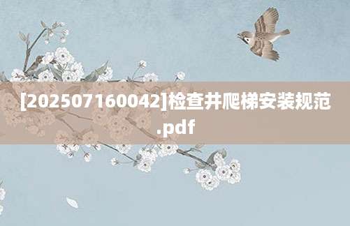 [202507160042]检查井爬梯安装规范.pdf