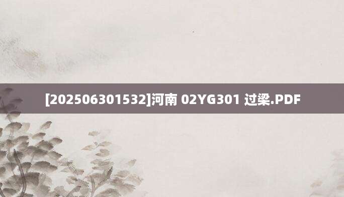 [202506301532]河南 02YG301 过梁.PDF