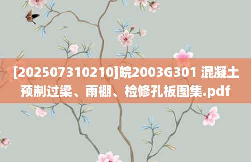 [202507310210]皖2003G301 混凝土预制过梁、雨棚、检修孔板图集.pdf