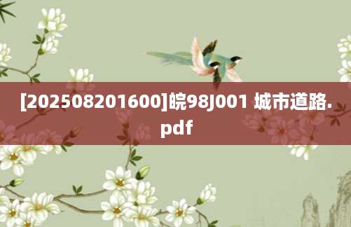 [202508201600]皖98J001 城市道路.pdf