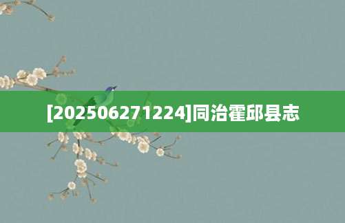 [202506271224]同治霍邱县志