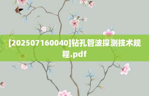 [202507160040]钻孔管波探测技术规程.pdf