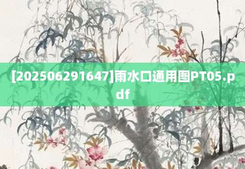 [202506291647]雨水口通用图PT05.pdf