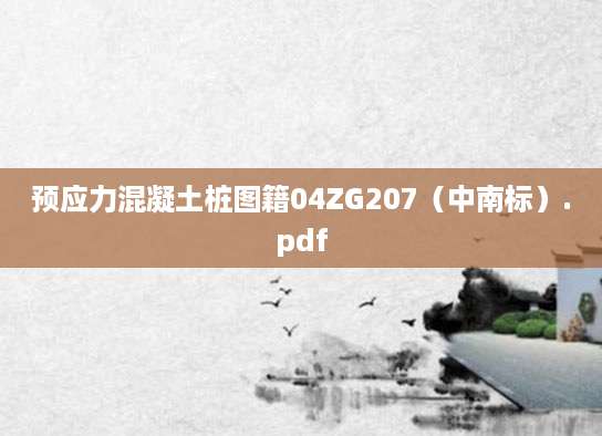 [202507181046]预应力混凝土桩图籍04ZG207（中南标）.pdf