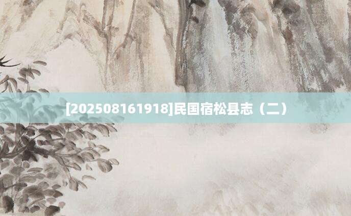 [202508161918]民国宿松县志（二）