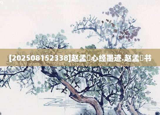[202508152338]赵孟頫心经墨迹.赵孟頫书