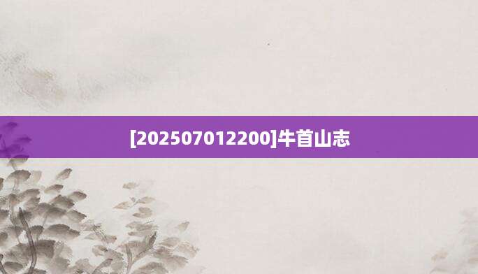 [202507012200]牛首山志