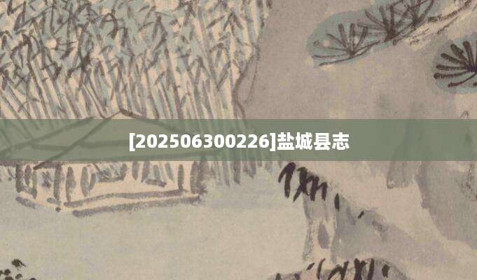 [202506300226]盐城县志