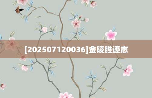 [202507120036]金陵胜迹志