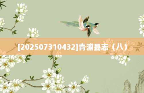 [202507310432]青浦县志（八）