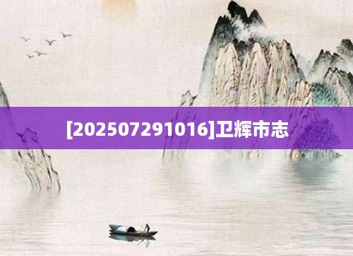 [202507291016]卫辉市志